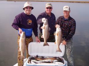 TODAY'S CATCH!!! 75 SPECKS 15 REDS